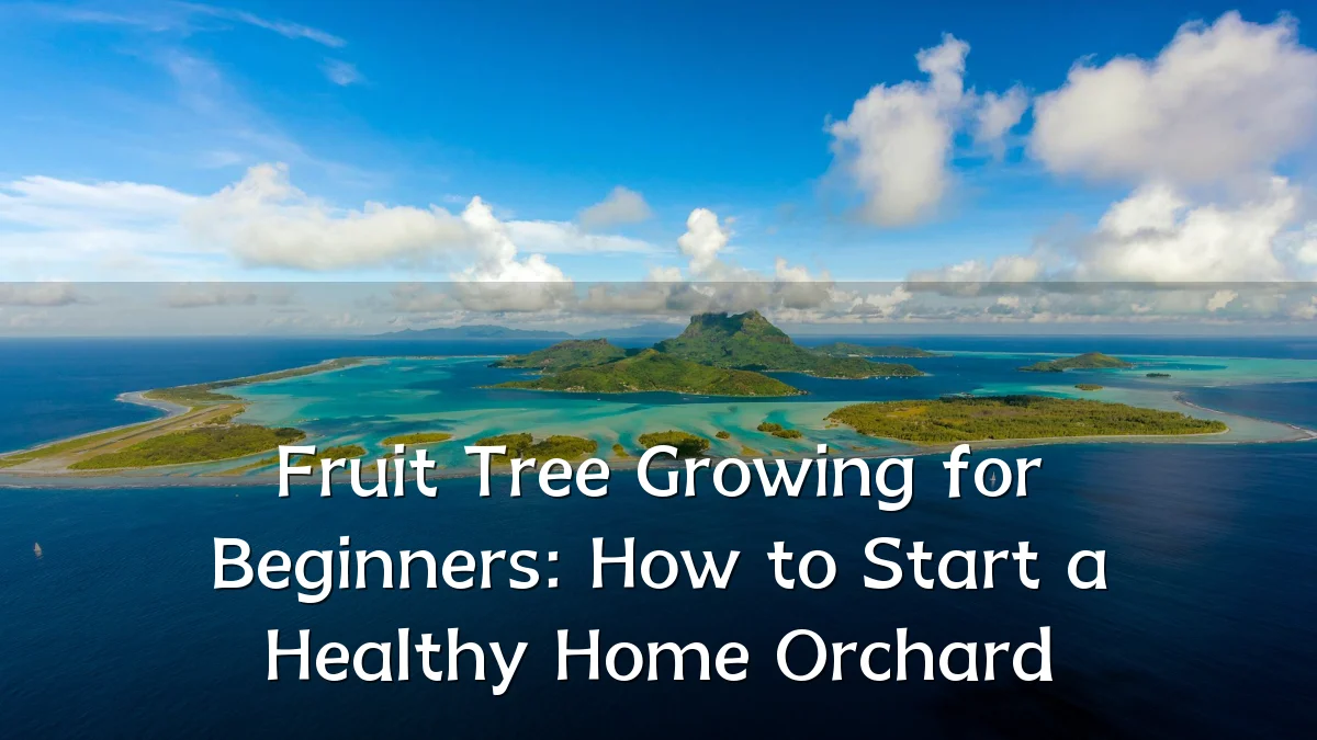 Fruit Tree Growing for Beginners: How to Start a Healthy Home Orchard