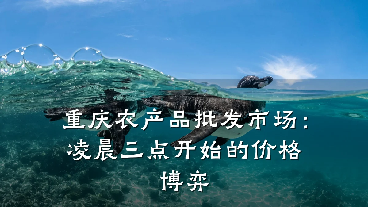 重庆农产品批发市场：凌晨三点开始的价格博弈