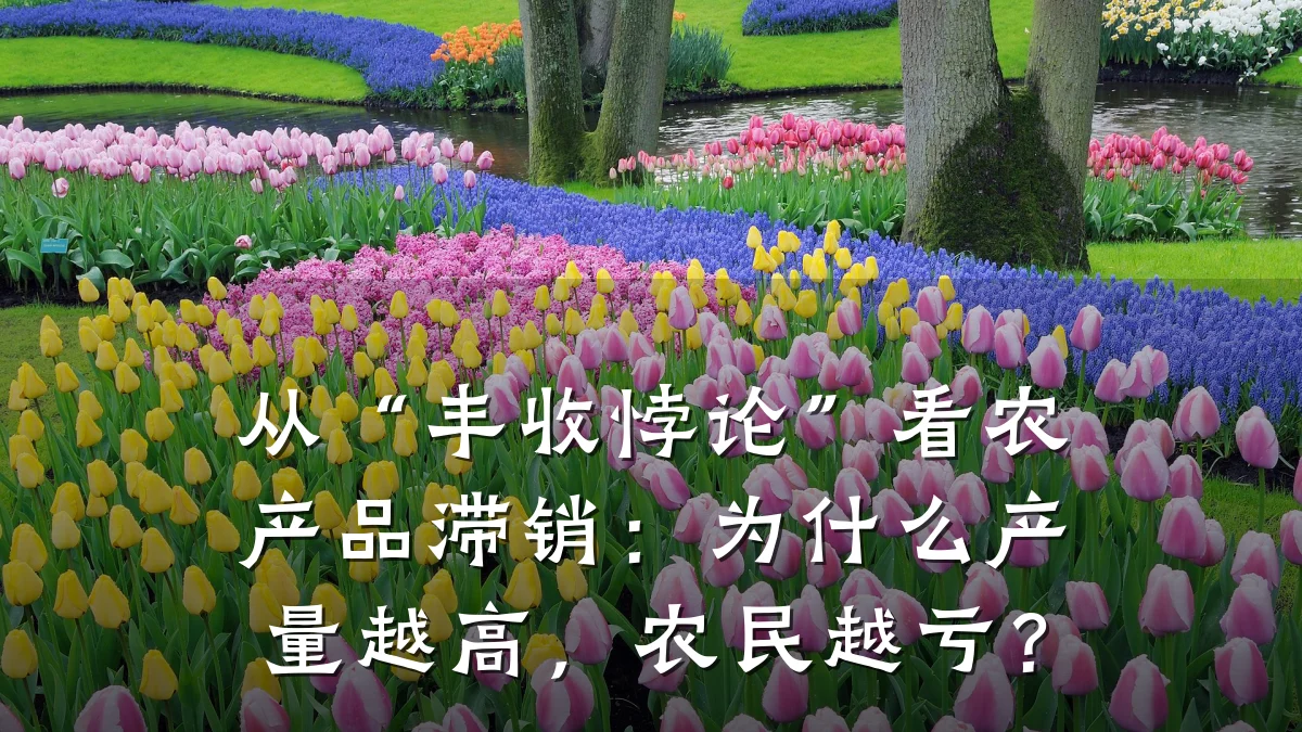 从“丰收悖论”看农产品滞销：为什么产量越高，农民越亏？