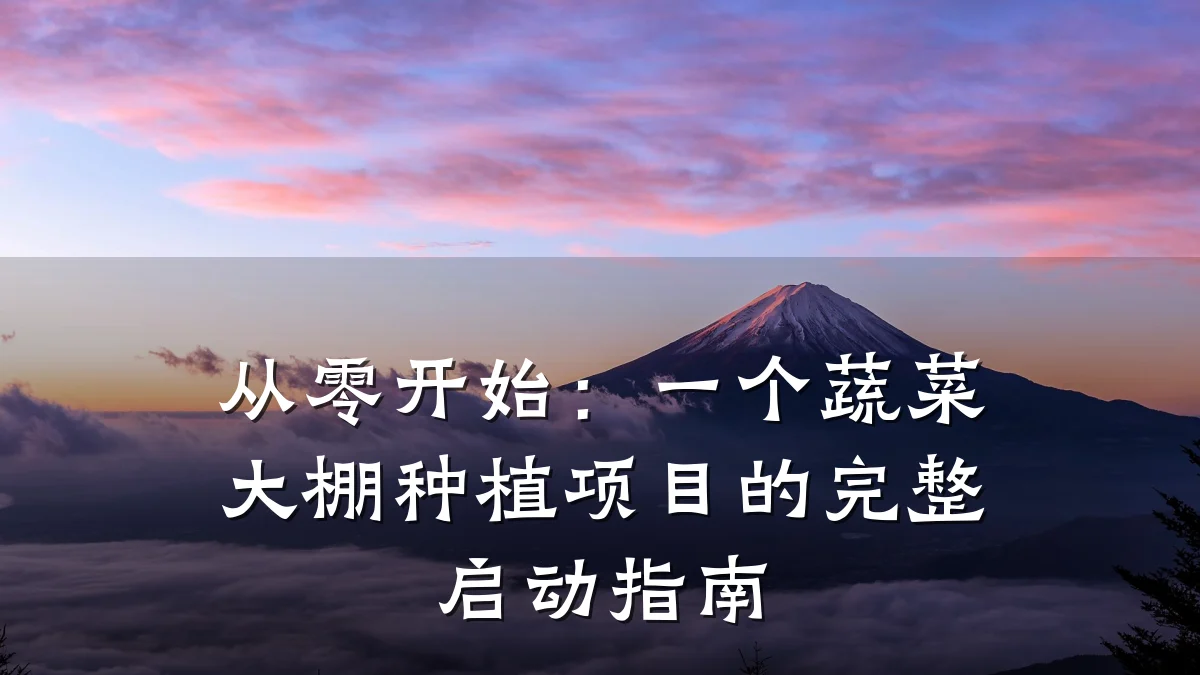 从零开始：一个蔬菜大棚种植项目的完整启动指南