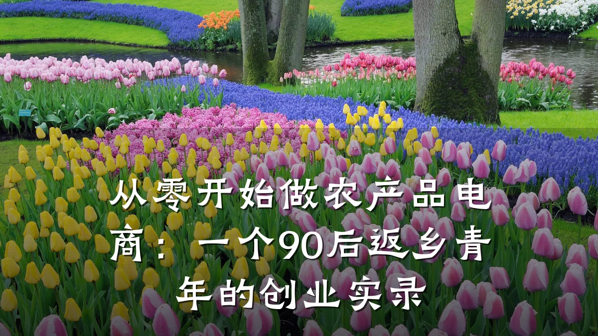 从零开始做农产品电商：一个90后返乡青年的创业实录