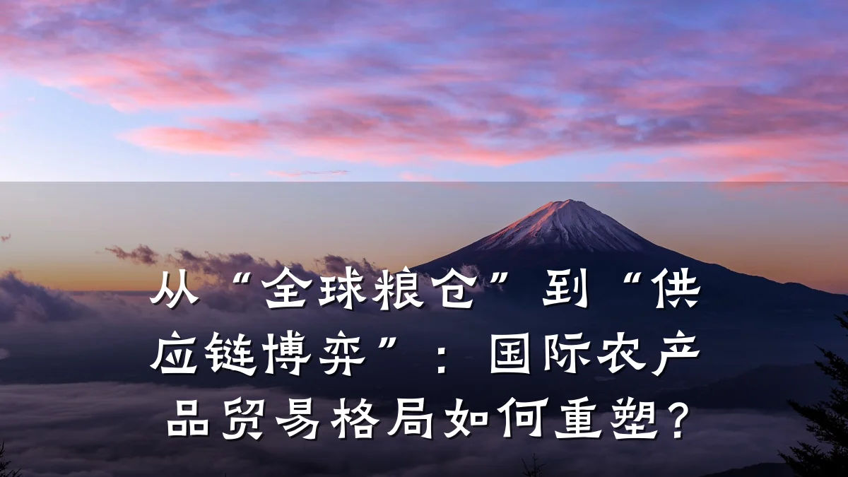从“全球粮仓”到“供应链博弈”：国际农产品贸易格局如何重塑？