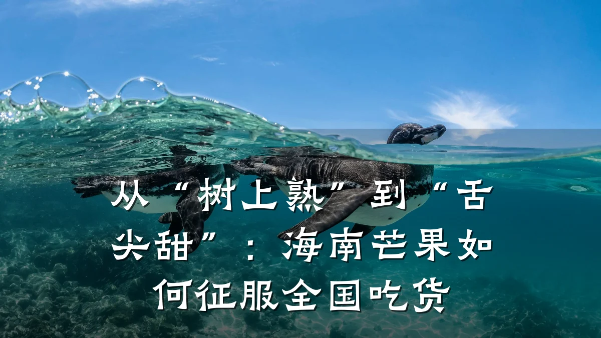 从“树上熟”到“舌尖甜”：海南芒果如何征服全国吃货