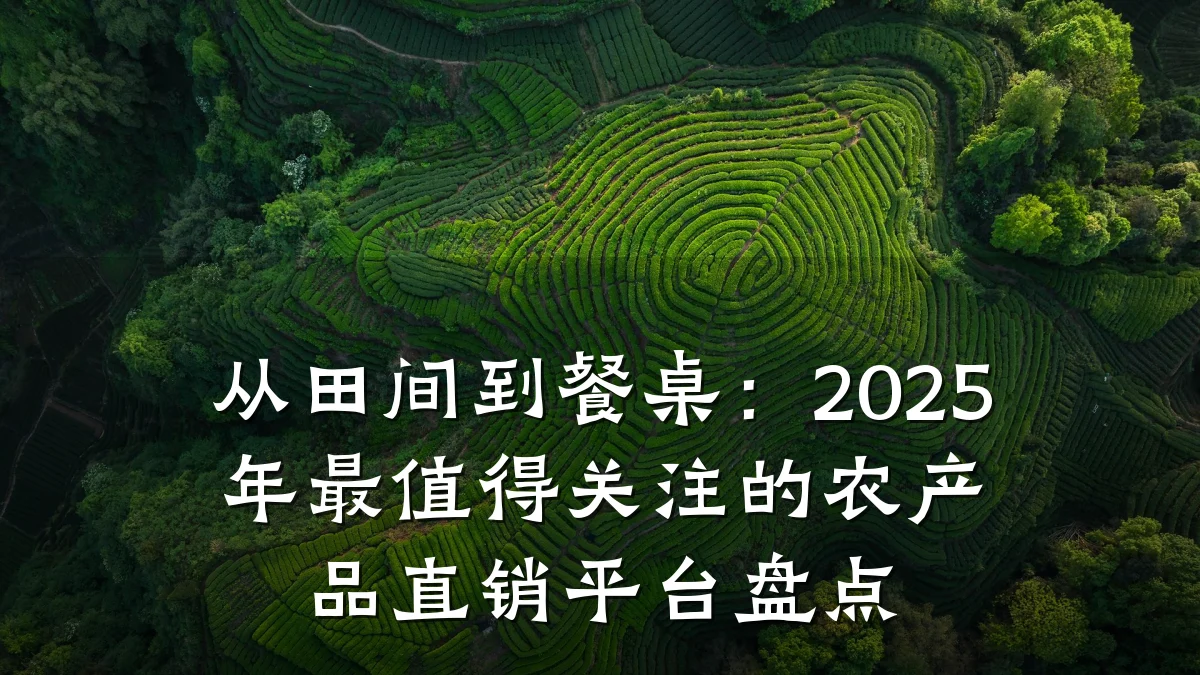 从田间到餐桌：2025年最值得关注的农产品直销平台盘点