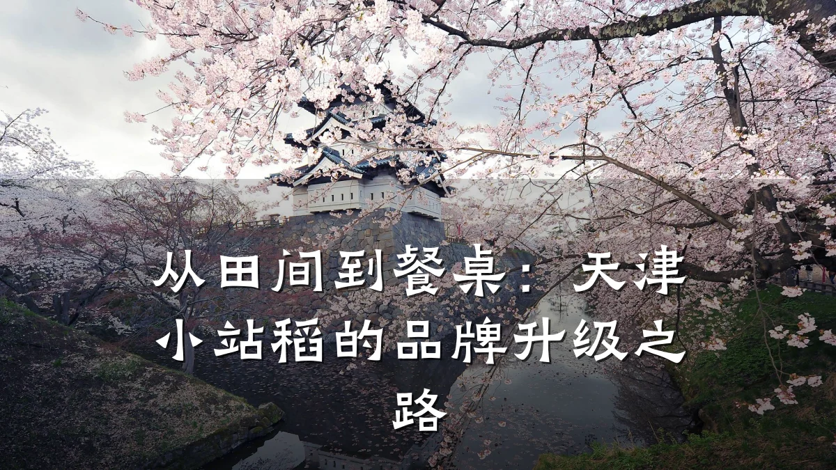 从田间到餐桌：天津小站稻的品牌升级之路