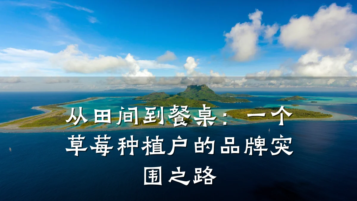 从田间到餐桌：一个草莓种植户的品牌突围之路