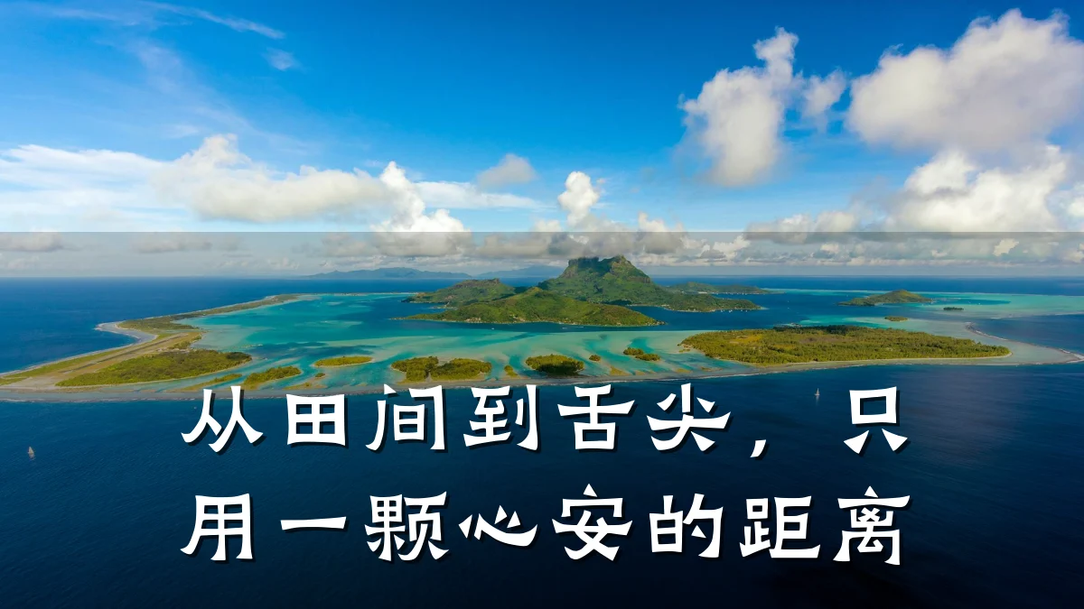 从田间到舌尖，只用一颗心安的距离