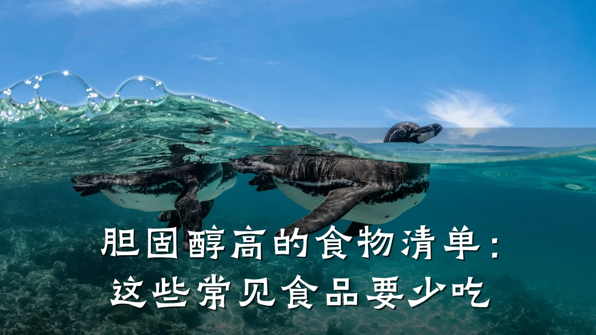 胆固醇高的食物清单：这些常见食品要少吃