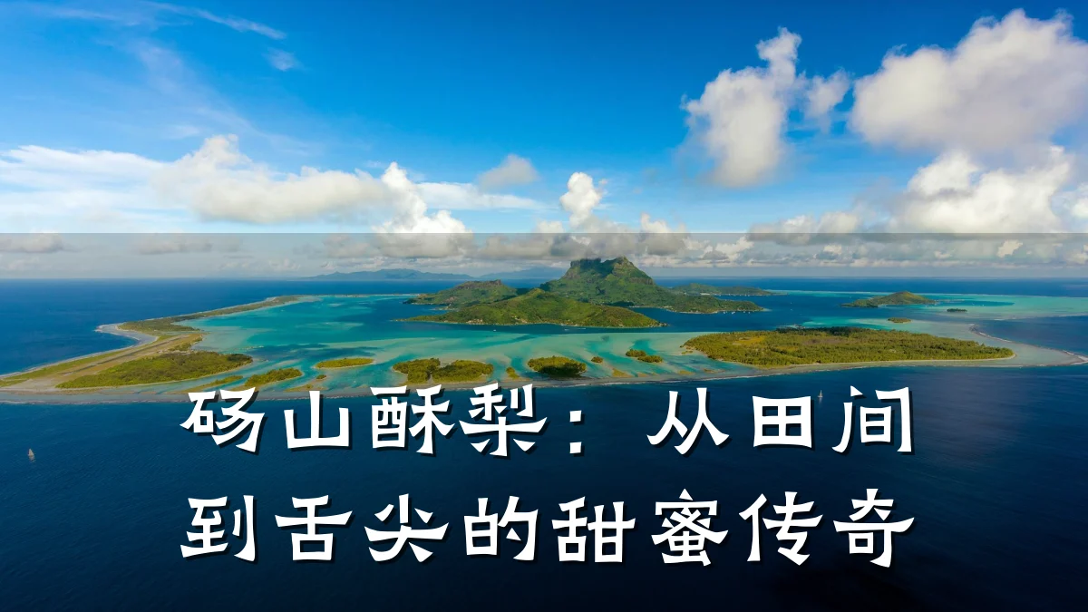 砀山酥梨:从田间到舌尖的甜蜜传奇