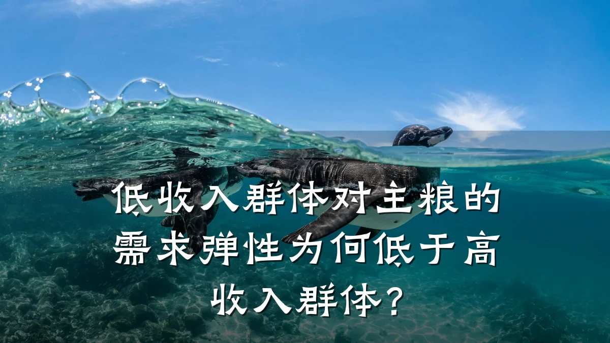 低收入群体对主粮的需求弹性为何低于高收入群体?