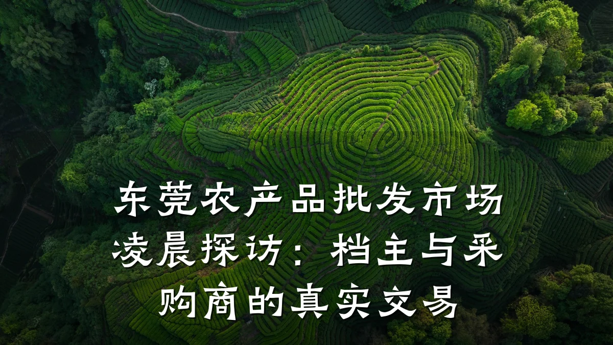 东莞农产品批发市场凌晨探访：档主与采购商的真实交易