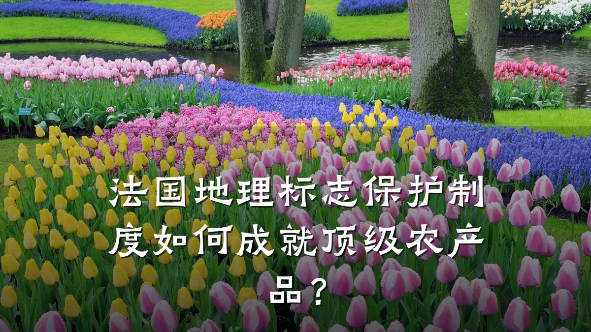法国地理标志保护制度如何成就顶级农产品？