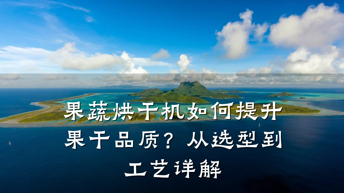 果蔬烘干机如何提升果干品质?从选型到工艺详解