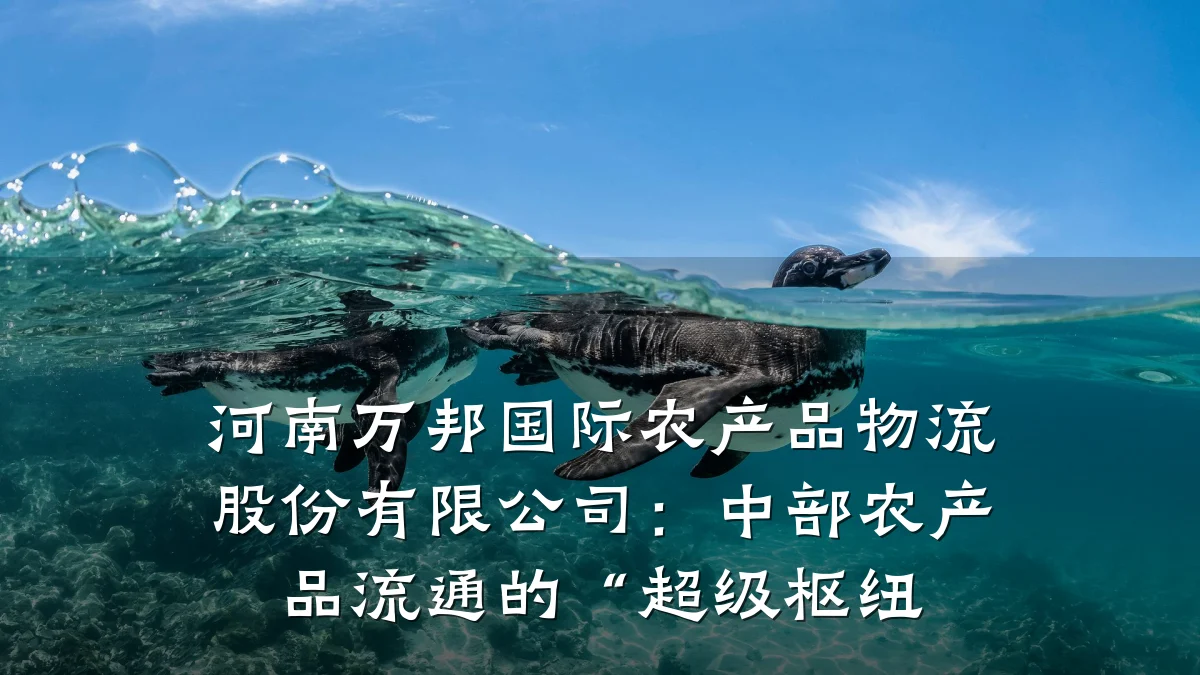 河南万邦国际农产品物流股份有限公司：中部农产品流通的“超级枢纽