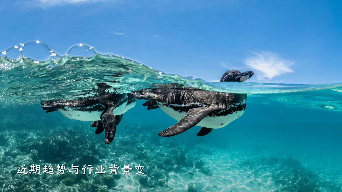 近期趋势与行业背景变