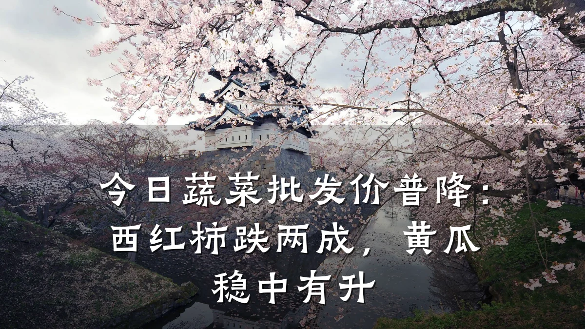 今日蔬菜批发价普降：西红柿跌两成，黄瓜稳中有升