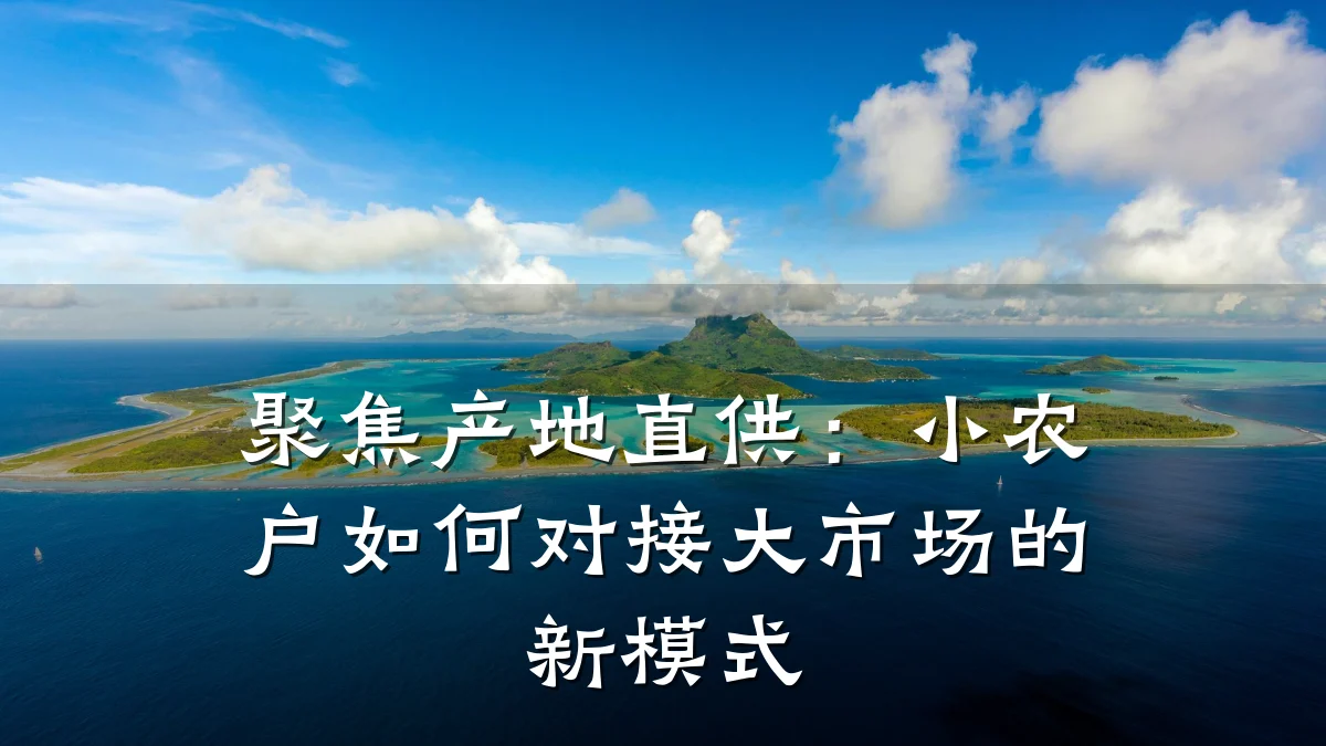 聚焦产地直供：小农户如何对接大市场的新模式