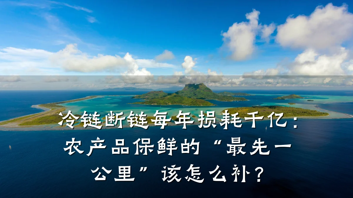 冷链断链每年损耗千亿：农产品保鲜的“最先一公里”该怎么补？