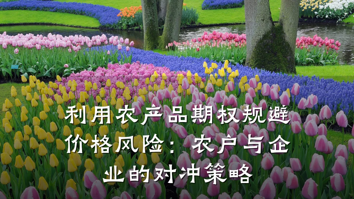 利用农产品期权规避价格风险：农户与企业的对冲策略