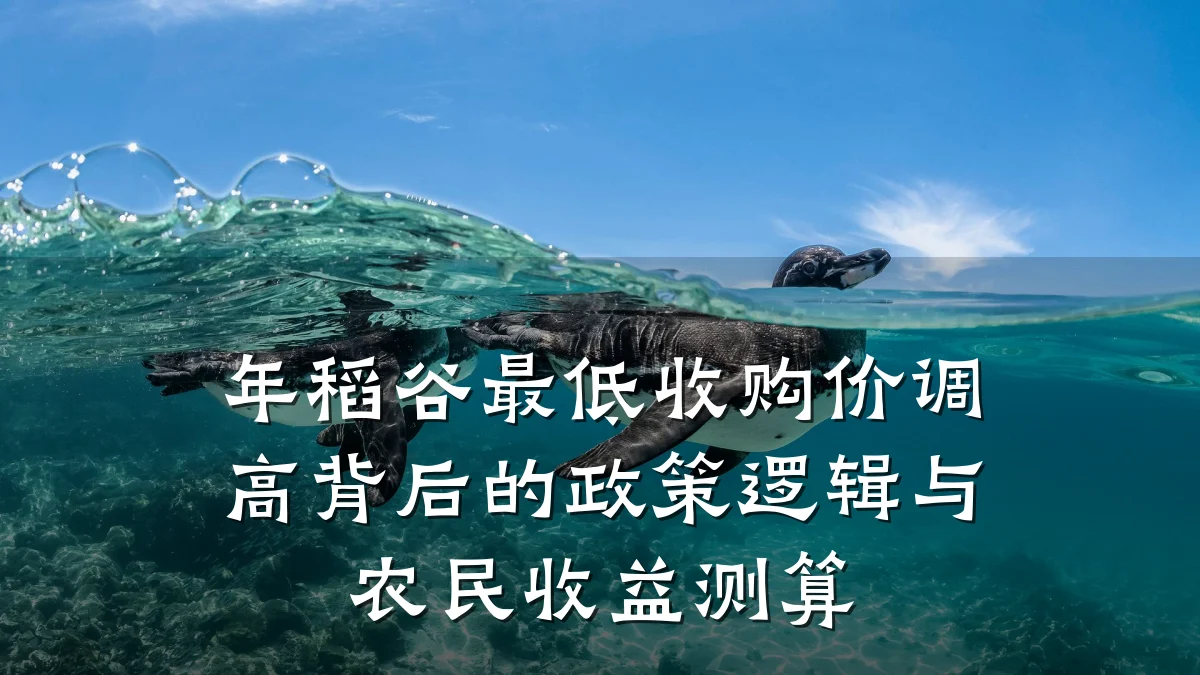 年稻谷最低收购价调高背后的政策逻辑与农民收益测算