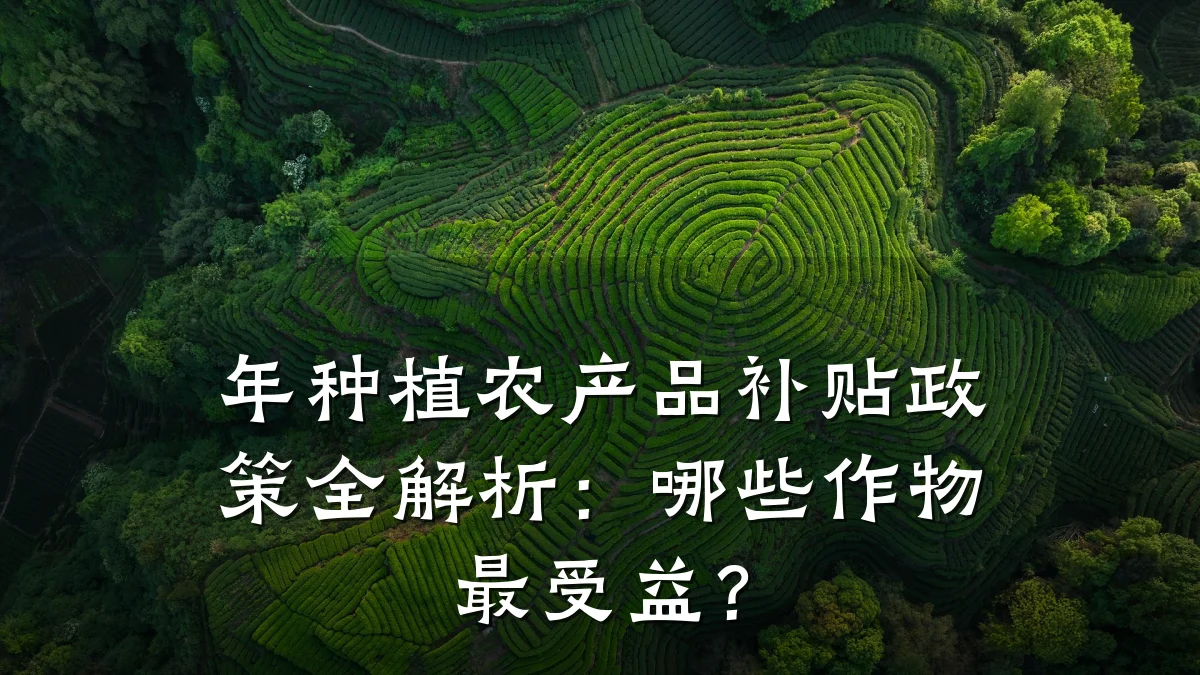 年种植农产品补贴政策全解析：哪些作物最受益？