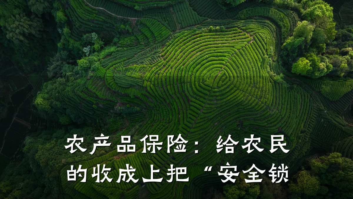 农产品保险：给农民的收成上把“安全锁