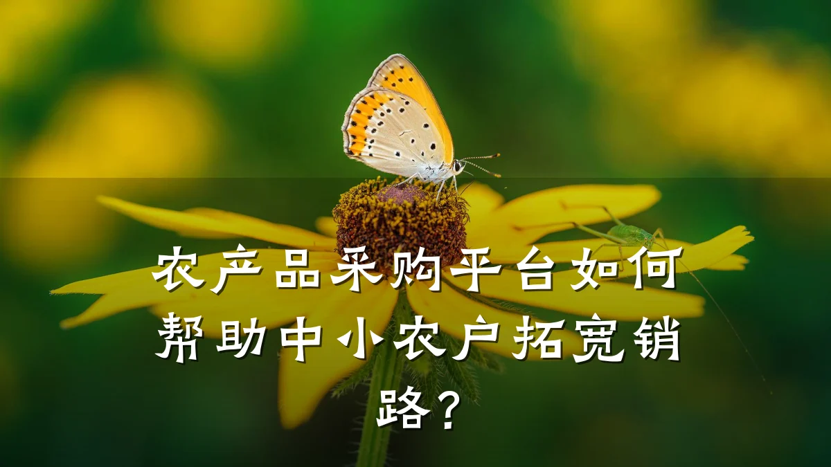 农产品采购平台如何帮助中小农户拓宽销路？