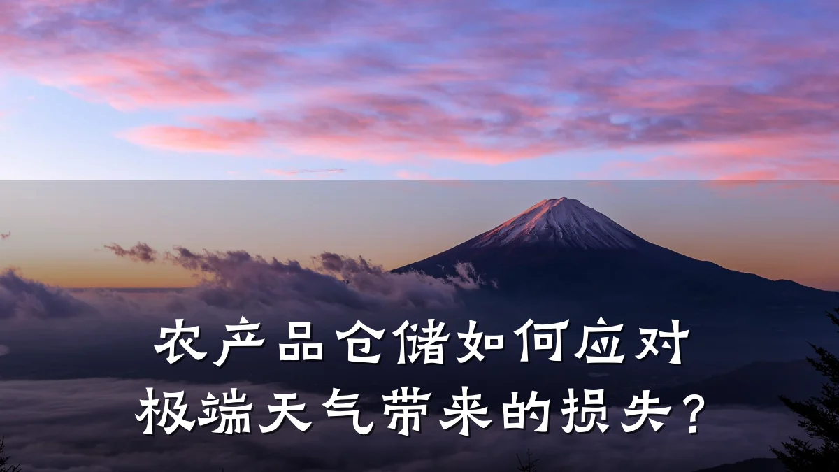 农产品仓储如何应对极端天气带来的损失？