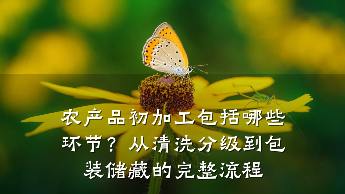 农产品初加工包括哪些环节？从清洗分级到包装储藏的完整流程