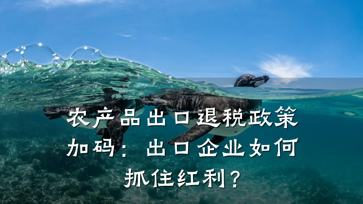 农产品出口退税政策加码：出口企业如何抓住红利？