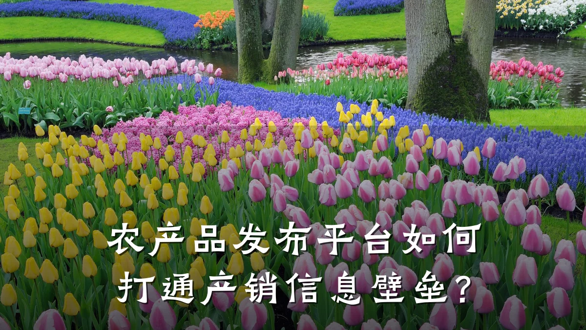 农产品发布平台如何打通产销信息壁垒？