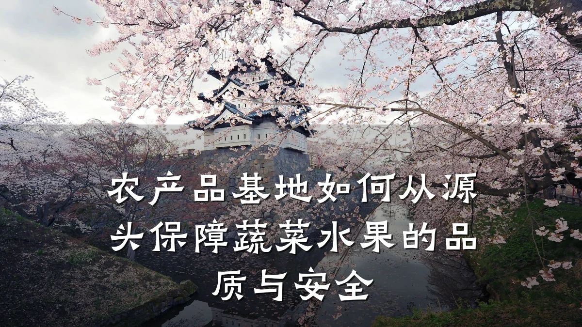 农产品基地如何从源头保障蔬菜水果的品质与安全