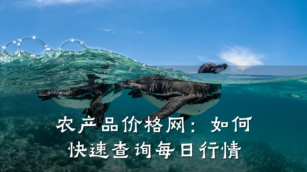 农产品价格网：如何快速查询每日行情