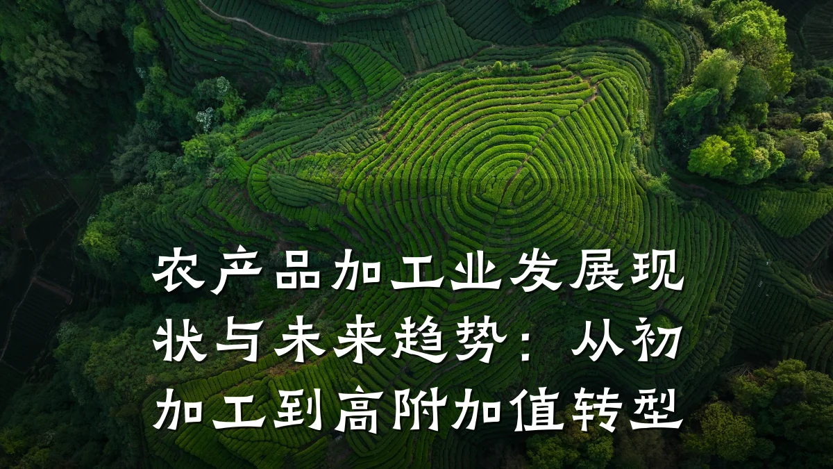 农产品加工业发展现状与未来趋势：从初加工到高附加值转型