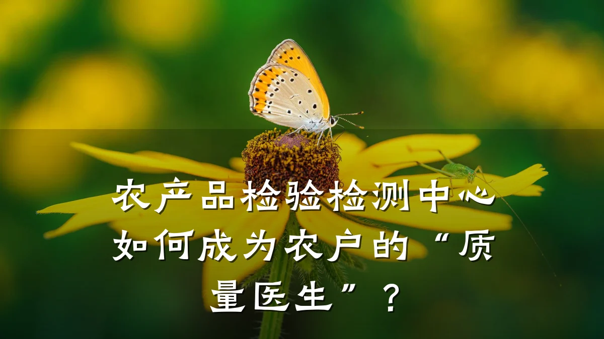 农产品检验检测中心如何成为农户的“质量医生”？