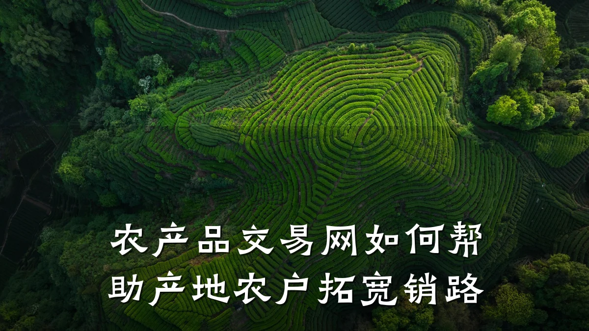 农产品交易网如何帮助产地农户拓宽销路