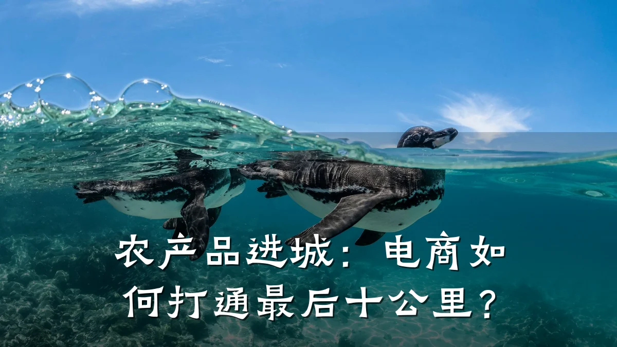 农产品进城：电商如何打通最后十公里？