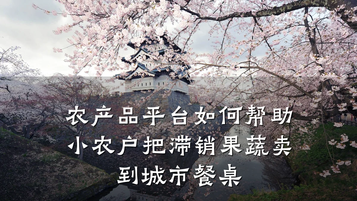 农产品平台如何帮助小农户把滞销果蔬卖到城市餐桌