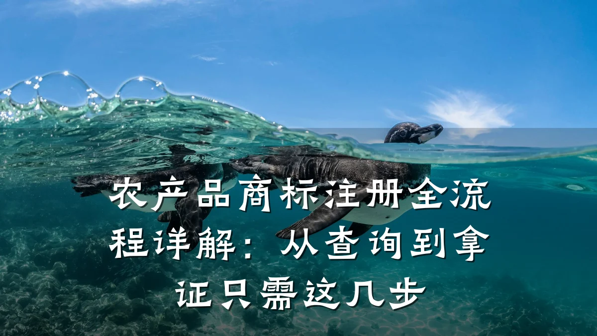 农产品商标注册全流程详解:从查询到拿证只需这几步