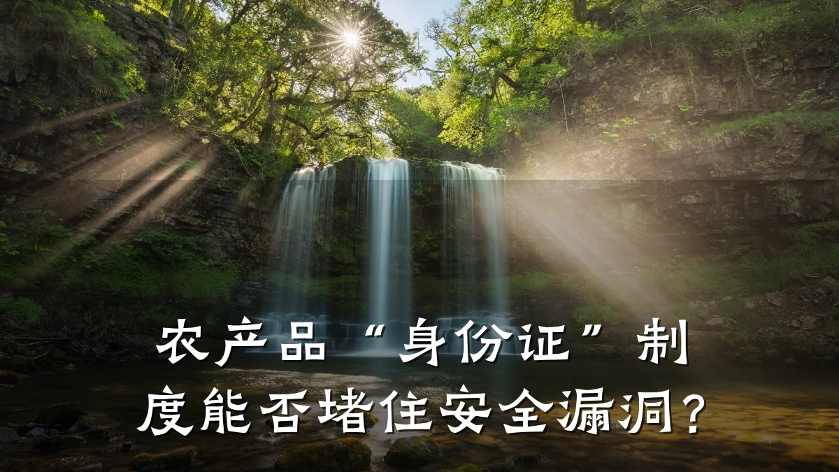 农产品“身份证”制度能否堵住安全漏洞？