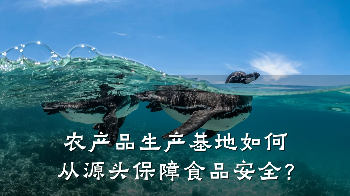 农产品生产基地如何从源头保障食品安全？
