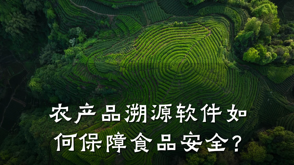 农产品溯源软件如何保障食品安全？