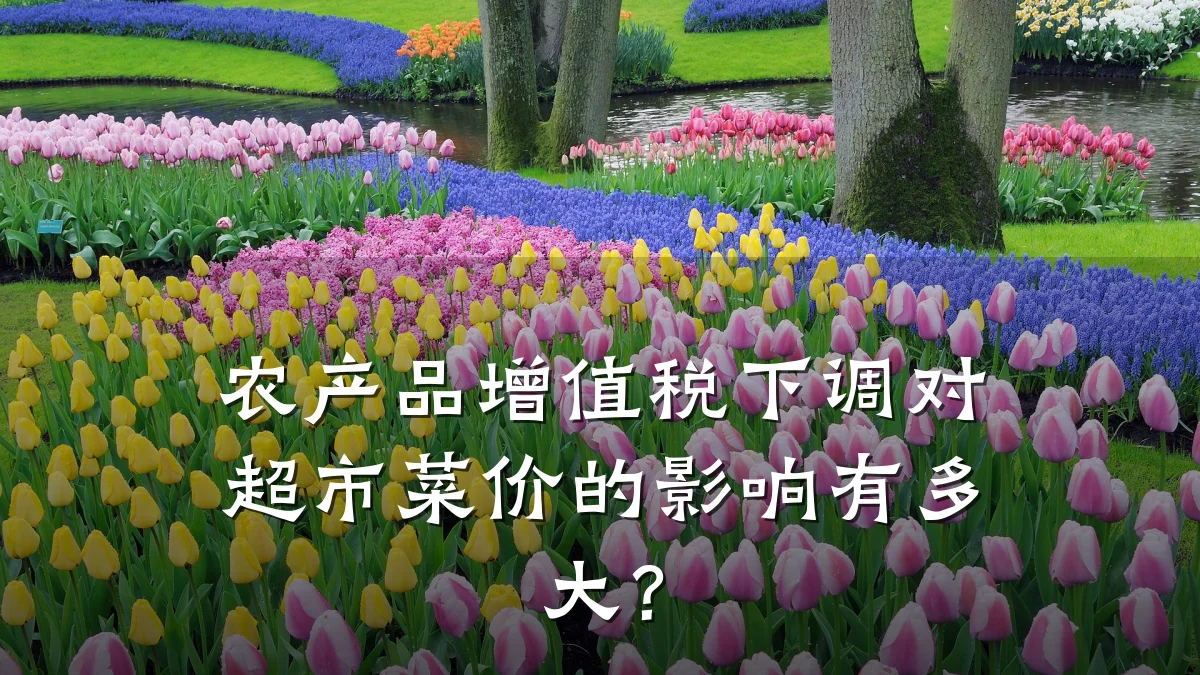 农产品增值税下调对超市菜价的影响有多大？