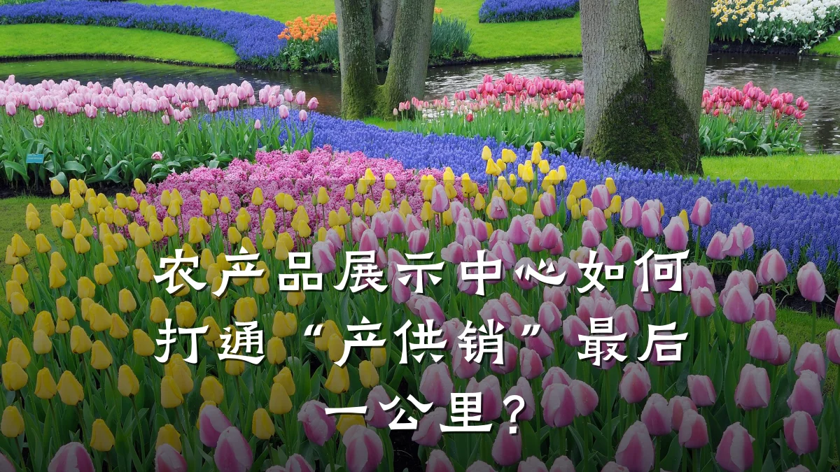 农产品展示中心如何打通“产供销”最后一公里？
