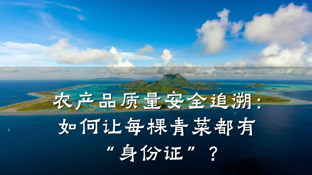 农产品质量安全追溯：如何让每棵青菜都有“身份证”？