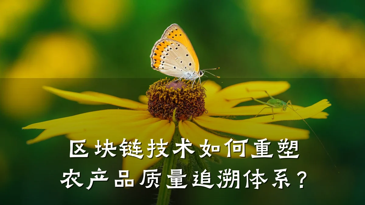 区块链技术如何重塑农产品质量追溯体系？