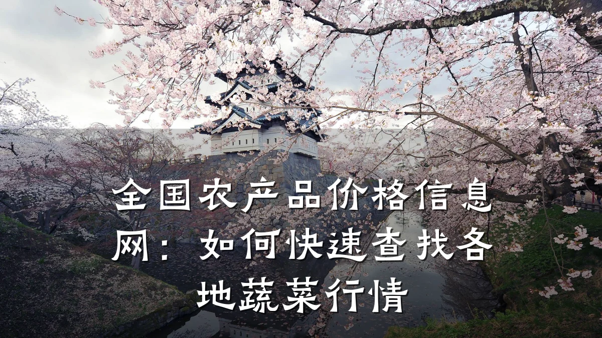 全国农产品价格信息网：如何快速查找各地蔬菜行情