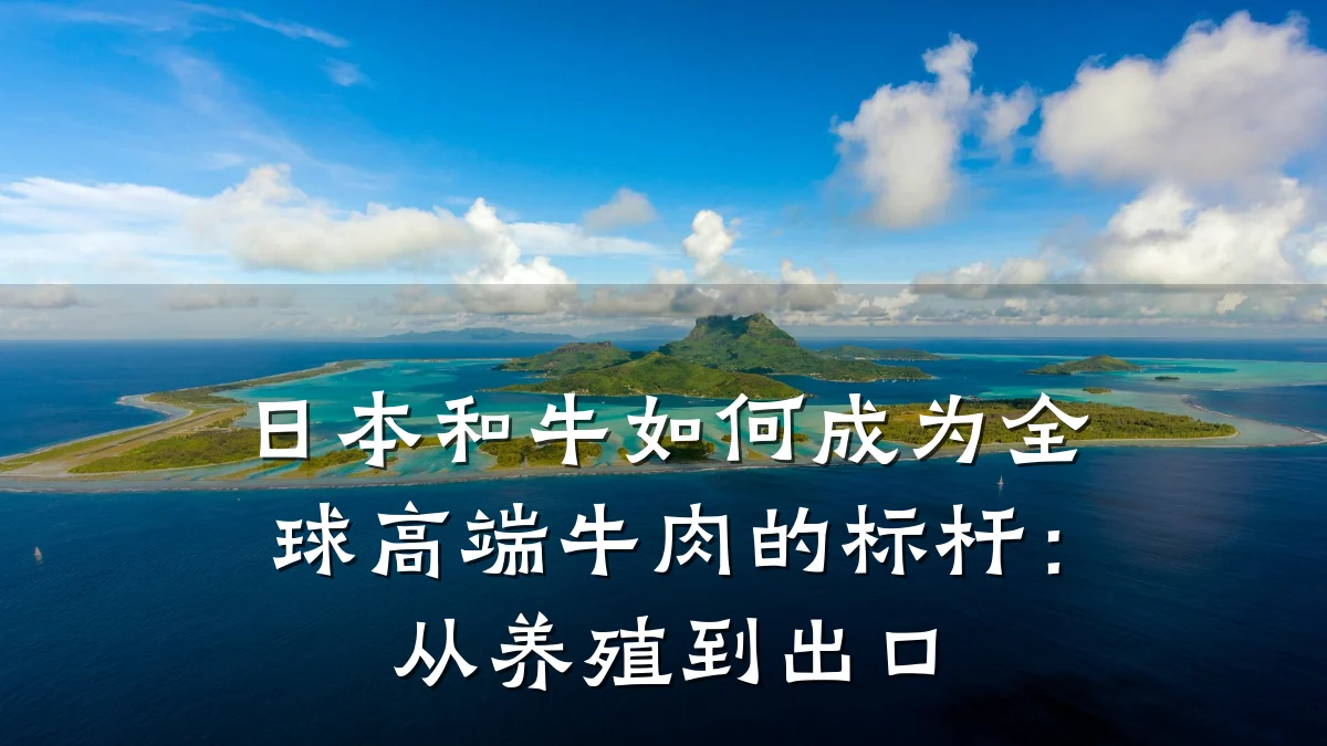 日本和牛如何成为全球高端牛肉的标杆：从养殖到出口