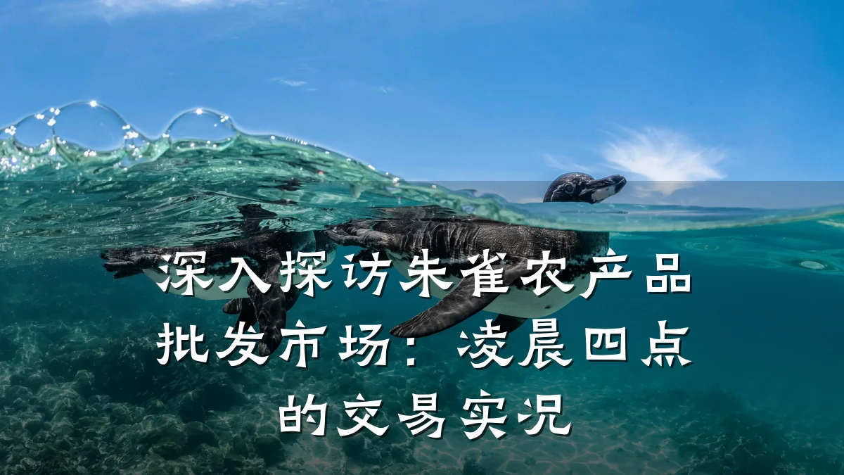 深入探访朱雀农产品批发市场：凌晨四点的交易实况