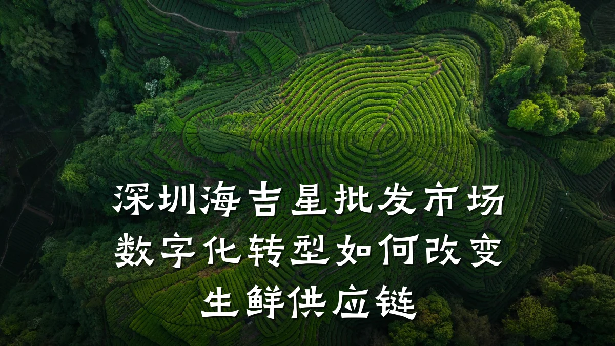 深圳海吉星批发市场数字化转型如何改变生鲜供应链